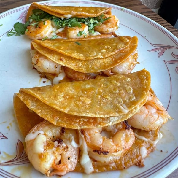 Three shrimp tacos with melted cheese and cilantro on a white plate.