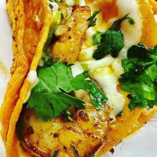 Close-up of a Taco Depot shrimp taco with melted cheese and fresh cilantro.