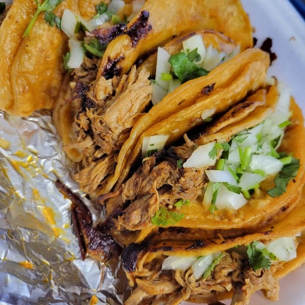Close-up of several golden-fried birria tacos filled with shredded meat, onions, and cilantro.